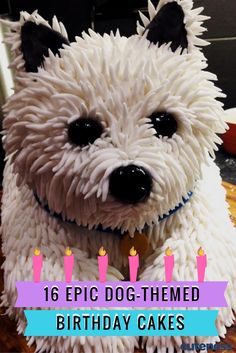 a white dog cake with candles on it's face and the words, 16 epic dog - themed birthday cakes