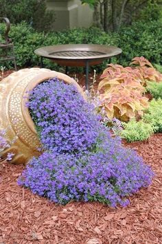 purple flowers are growing out of an old barrel in the middle of a flower garden