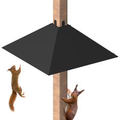 two animals are climbing up the side of a pole and one is on its hind legs