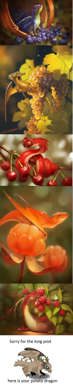 four different images of flowers and leaves in the water, one with red berries on it