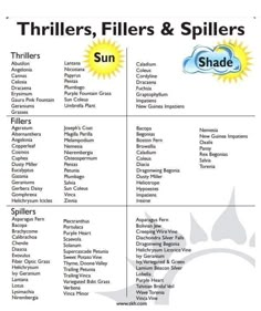 a poster with different types of fillers and spilllers