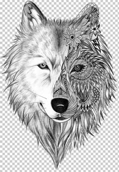 a drawing of two wolfs with their faces drawn in black and white pencil on paper