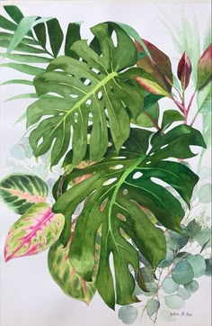 a watercolor painting of green leaves and plants on a white background with pink accents