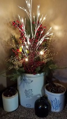 a potted plant with christmas lights in it next to two small pots filled with plants