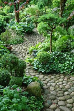 a stone path in the middle of a lush green forest filled with trees and plants