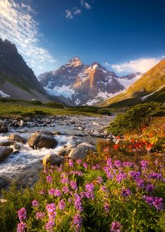 the mountains are covered in snow and flowers