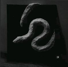 a black and white photo of the letter s