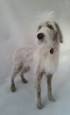 a small white dog standing on top of a snow covered ground in front of a white background