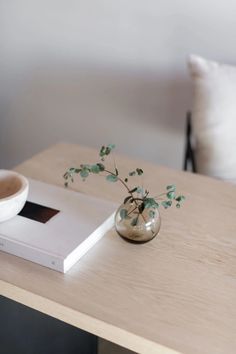 a table with a book, bowl and plant on it