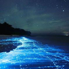 the water is glowing blue and it looks like they are floating in the ocean at night