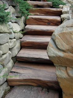 there is a cat that is sitting on top of the steps in front of some rocks