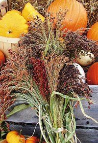 pumpkins and gourds are sitting on the ground in front of some hay