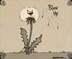 a dandelion blowing in the wind with words blow me written on it's side