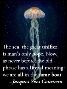 a jellyfish floating in the ocean with a quote