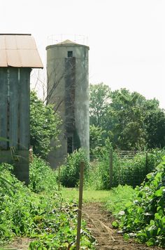 an old grain silo stands in the middle of a garden with green plants and weeds