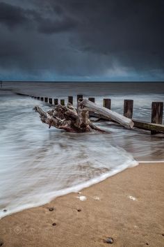 the beach is covered in waves and driftwood