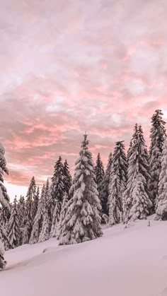 the sky is pink and cloudy over some snow covered trees