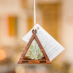 an air plant hanging from a string with a piece of paper on top of it