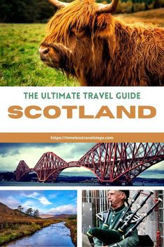 the ultimate travel guide to scotland with pictures of scottish landmarks and animals, including long - haired