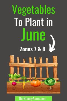 vegetables to plant in june zones 7 & 8