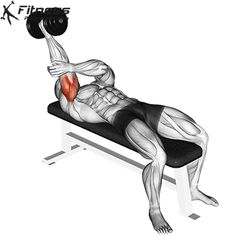 a man is doing a bench press with a barbell in his hand and the muscles highlighted