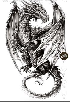 a black and white drawing of a dragon