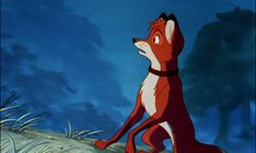 the fox and the hound from disney's animated movie