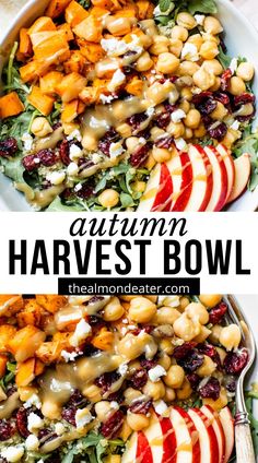 an autumn harvest salad with apples, cranberries and nuts in a white bowl