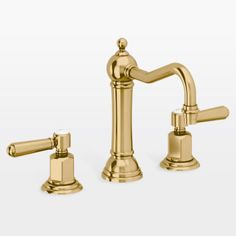 two faucets with gold handles and nozzles are shown in this image