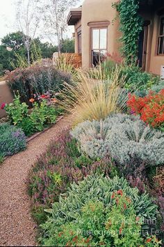 a garden with lots of flowers and plants in front of a house on a hill