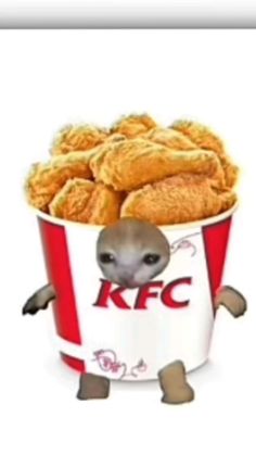 a cartoon mouse is in a bucket full of chicken nuggies, with the kfc logo on it's chest