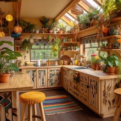 a kitchen filled with lots of potted plants