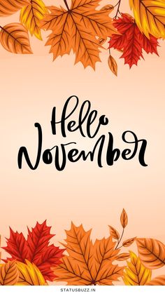 an autumn background with leaves and the words hello november written in black ink on it