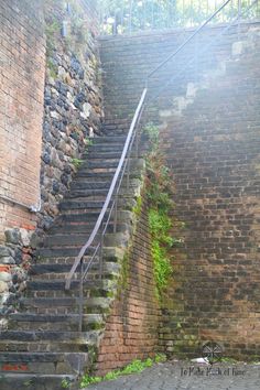 the stairs are made of brick and have vines growing on them