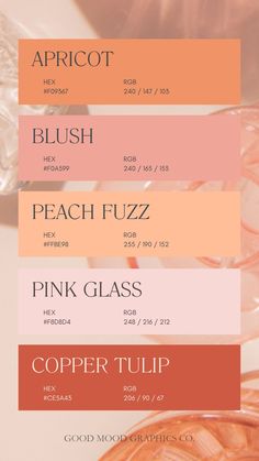 the different shades of pink and orange are shown in this graphic style, with each color being