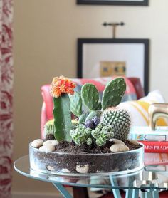 a glass table topped with a potted cactus and other assorted plants on top of it