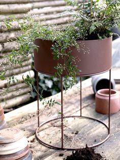 a potted plant sitting on top of a metal stand next to other pots and plants