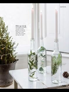 three bottles filled with plants sitting on top of a table