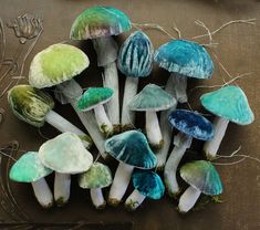 a group of mushrooms sitting on top of a table next to each other in different colors