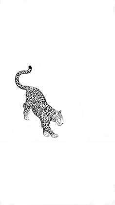 a black and white drawing of a cheetah