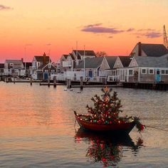 a boat with a christmas tree on it in the middle of water near houses at sunset