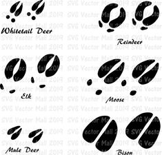 the different types of coffee beans in black and white, with their names on them