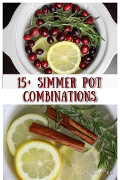 lemons, cranberries and herbs in a bowl with text overlay that reads 15 summer pot combinations