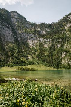 a mountain lake surrounded by lush green grass and flowers in the foreground, with mountains in the background