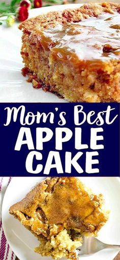 this mom's best apple cake is made with fresh apples and topped with an oatmeal topping