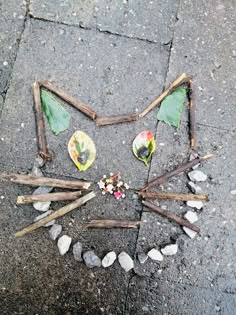 a circle made out of sticks and leaves on the ground next to rocks, pebbles and stones