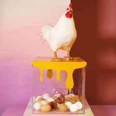 a white chicken standing on top of a plastic container filled with eggs and other things