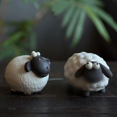 two small sheep standing next to each other on a table