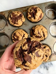 a hand holding a chocolate chip cookie in front of muffin tins