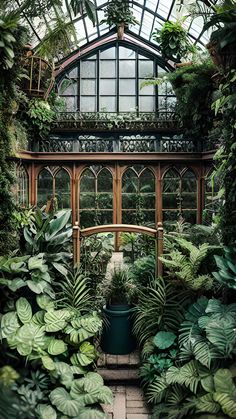 the inside of a greenhouse filled with lots of green plants and greenery in front of a tall arched window